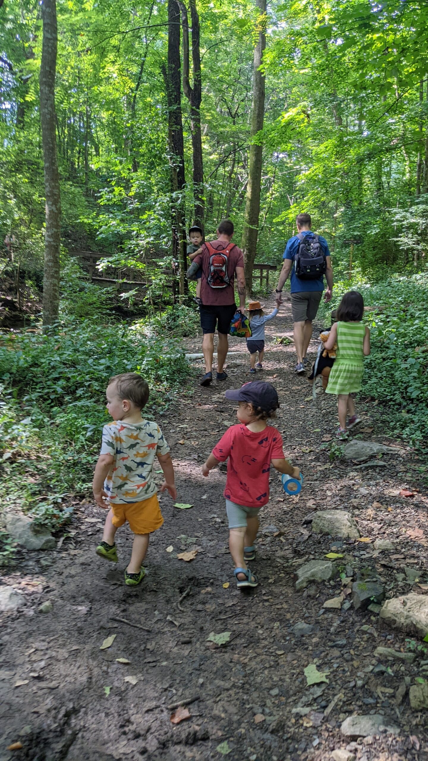 Yong children hiking on a trail in a green forest